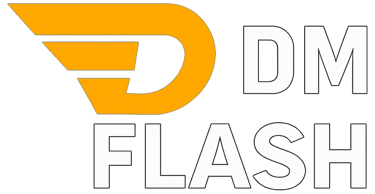 dmflash logistica logo