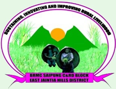 BLOCK RESOURCE MANAGEMENT COMMITTEE (BRMC) logo