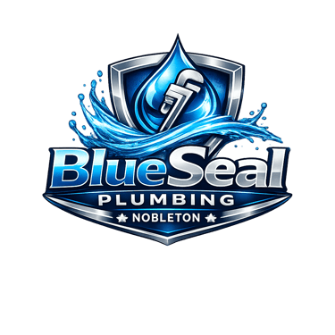 BlueSeal Plumbing – Nobleton logo