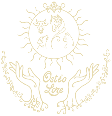 OstéoLore logo