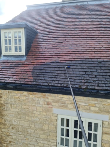 Roof cleaning