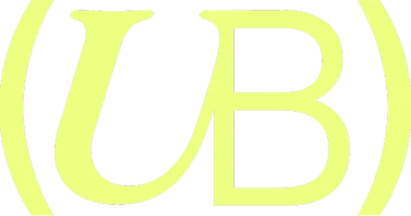 The Effortless Business Bootcamp logo