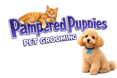 Pawfect Spa logo