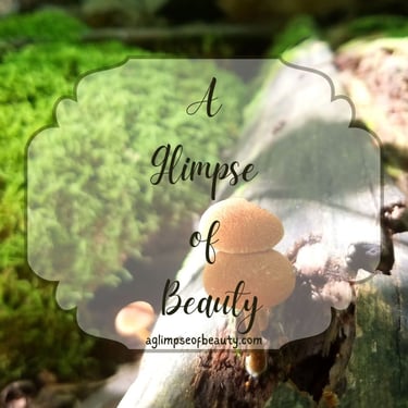 A Glimpse of Beauty, Light Hope & Truth logo