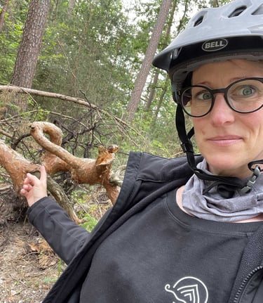 Birgit Willared - Lichtbringer