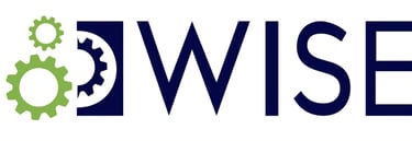 WISE MS logo