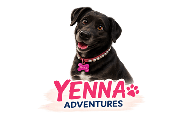 Yenna Adventures logo