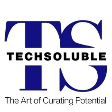 Techsoluble logo