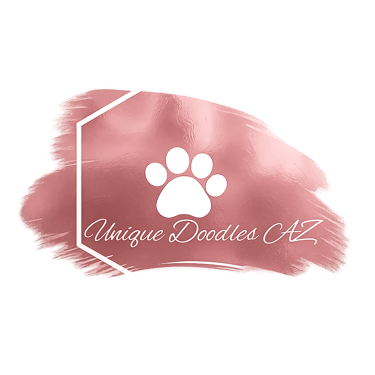 Unique Doodles AZ logo