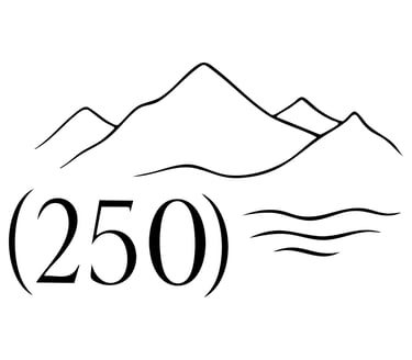 natural tallow skin co. logo