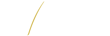 VIGMA logo