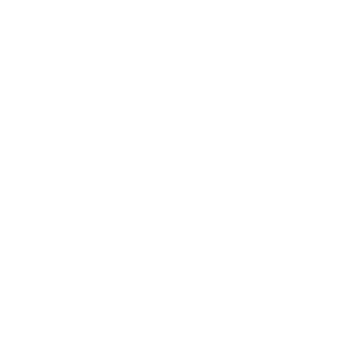 AltivoSeg logo