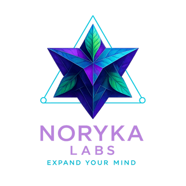 Noryka Labs logo