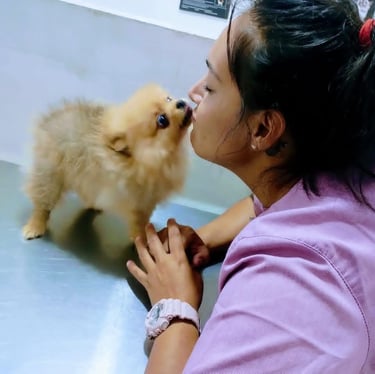 Veterinaria dueña de veterinaria pekes besando a perrito