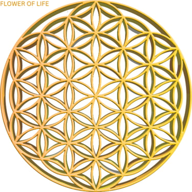 Manifesting The Life You Were Created For logo