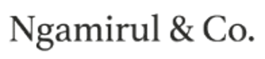 Ngamirul & Partners logo
