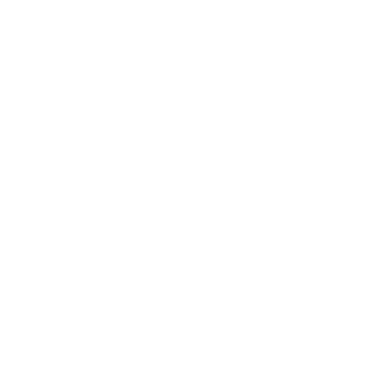 primepeak logo