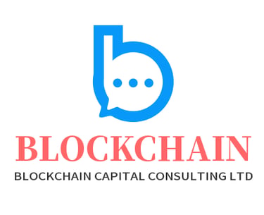 BLOCKCHAIN CAPITAL CONSULTING LTD logo