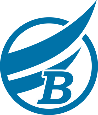 BLURITZ INTERNATIONAL logo