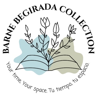 Barne Begirada Collection logo