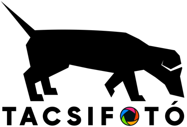 Tacsifotó logo