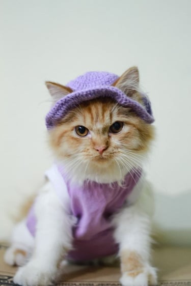 Un gato pelirrojo y esponjoso que luce un elegante gorro de punto morado y un chaleco morado a juego.
