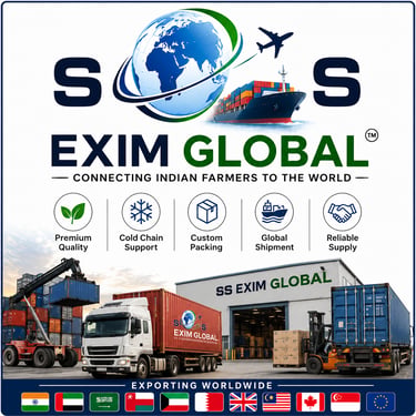 SS Exim Global logo
