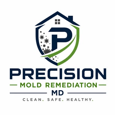Precision Mold Remediation MD logo