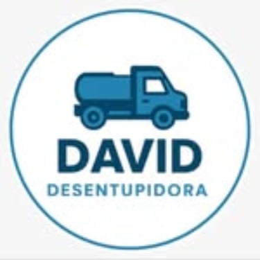 Desentupidora David Hidrojateamento logo