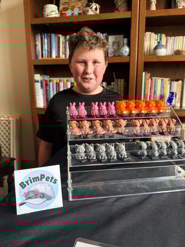 boy selling brim pets with stand of brim pets on table