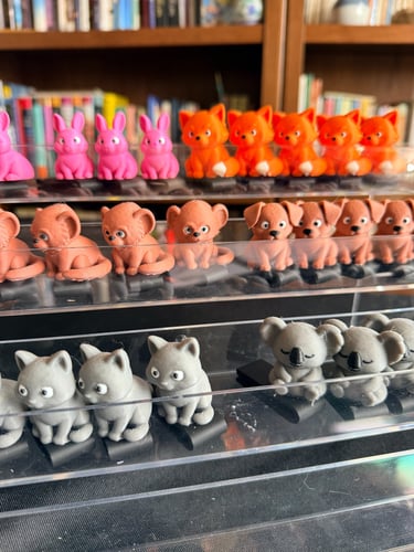 up close of brim pet display