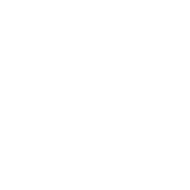 vital pro breeze logo