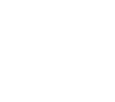 #ANERA logo