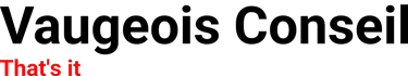 Vaugeois Conseil logo