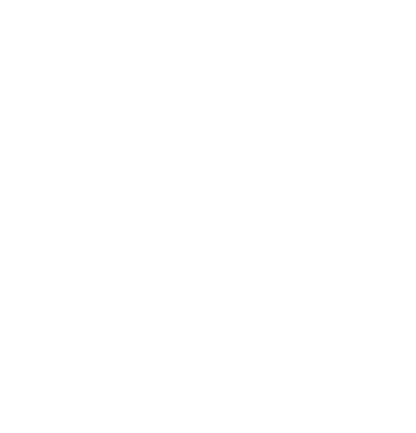 Corporación Ancestra logo