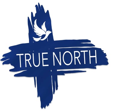TrueNorth Counseling, PLLC logo