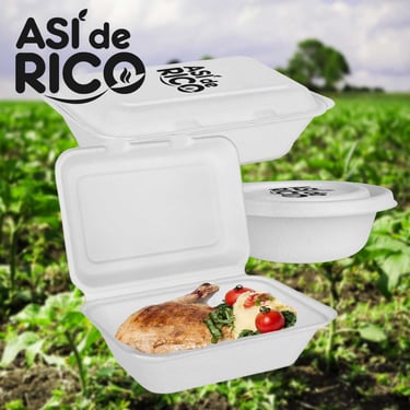 packaging ecológico