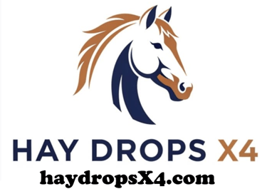 haydropsX4 logo