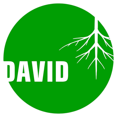 David Plantas Ornamentais logo