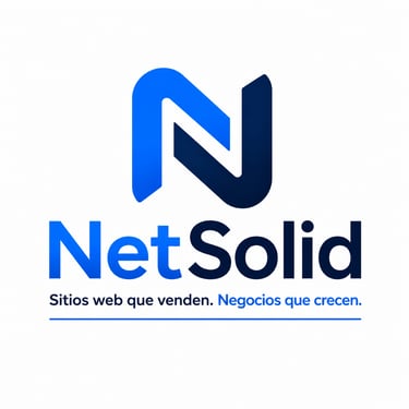 NetSolid.net logo
