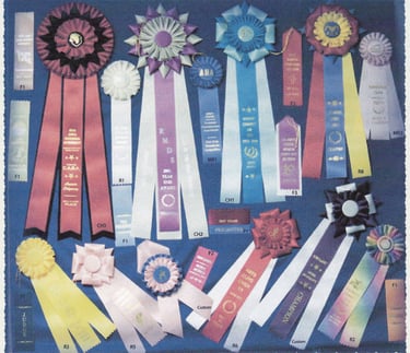 A variety of colorful equestrian horse show award ribbons and champion rosettes on a blue background.