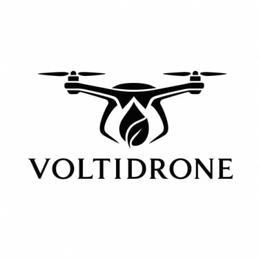 Voltidrone logo
