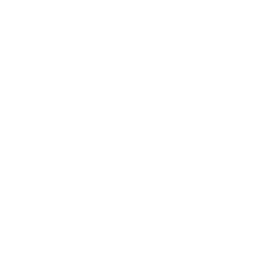 Blue Eagle Inspection logo