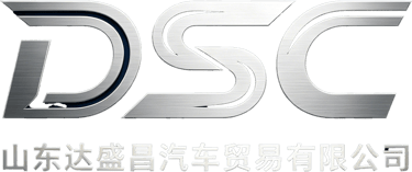 Shandong Dashengchang Automobile Trade Co., Ltd. logo
