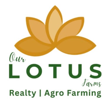 Our Lotus Farms logo