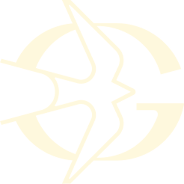 La Golondrina Digital logo