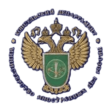 Сайт проверки действительности электронной визы представителями транспортных компаний только для посадки в транспортное средство logo