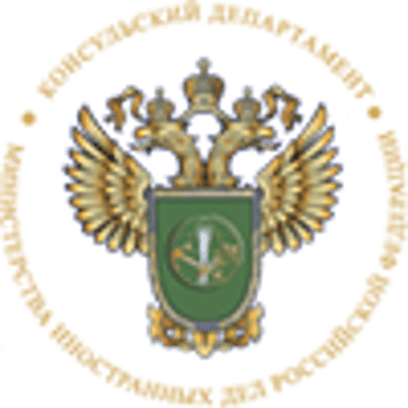 Сайт проверки действительности электронной визы представителями транспортных компаний только для посадки в транспортное средство logo