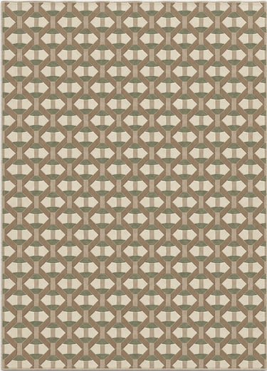 Modern area rug featuring a geometric trellis pattern in earth tones of brown, beige, and sage green.