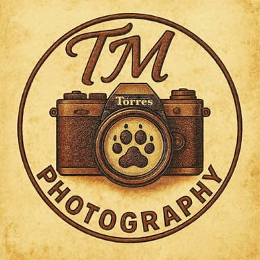 TM Photography logo